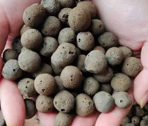 花盆垫底用大陶粒还是小陶粒