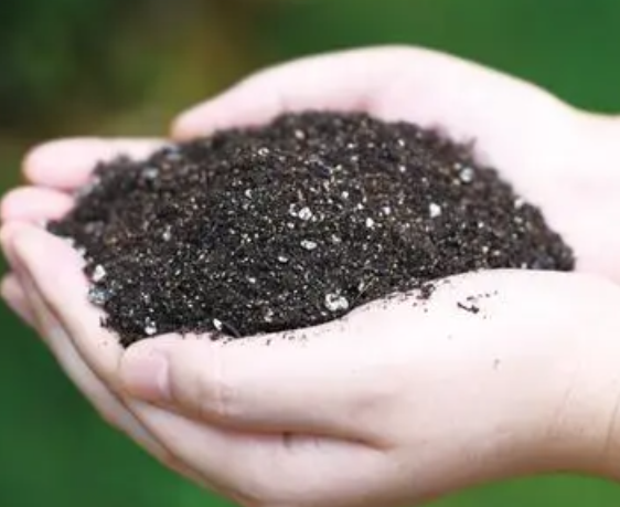 通用花肥选哪一种好