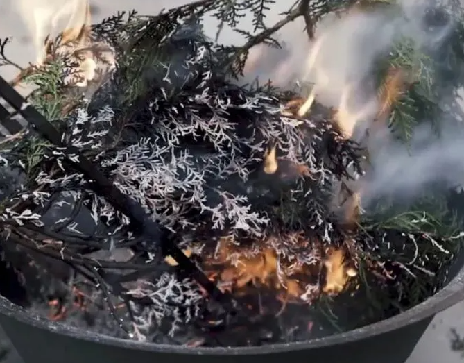 树叶烧成灰是什么肥