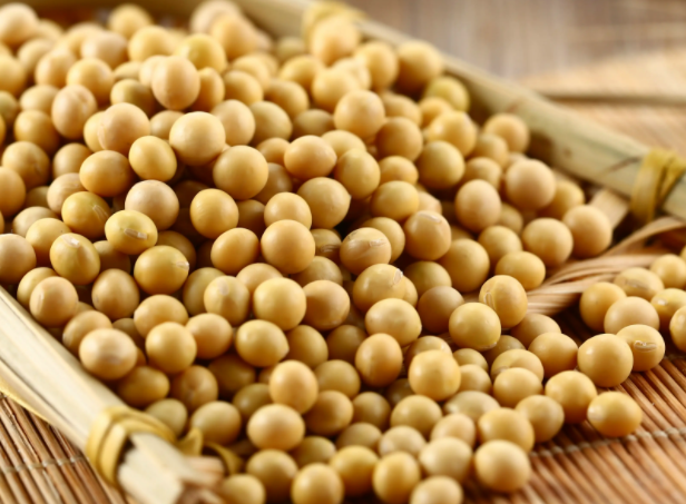 黄豆做花肥的做法是什么