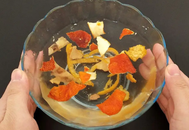 橘子皮浇花好不好