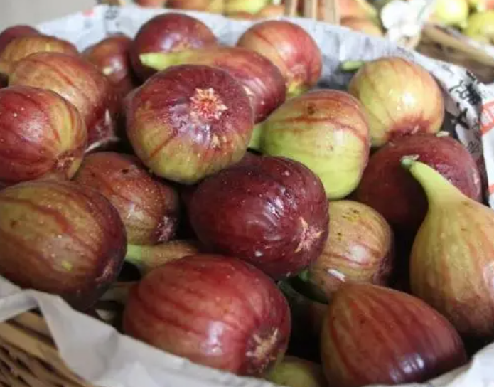 如何让无花果快速成熟