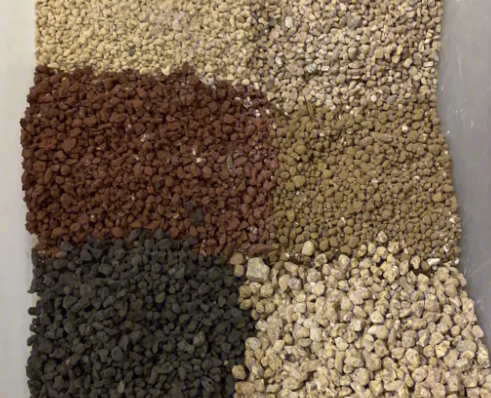 多肉专用土可以种别的花吗