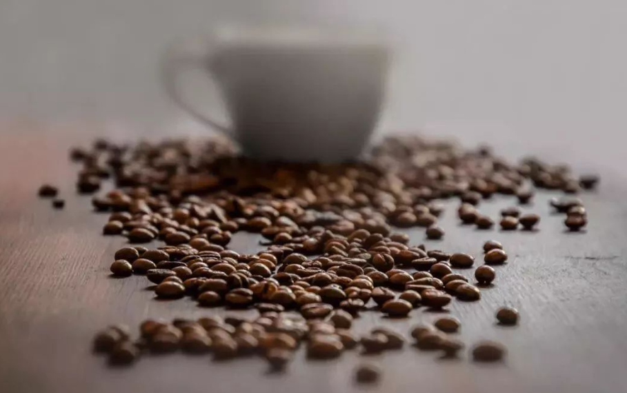 过期咖啡如何做花肥