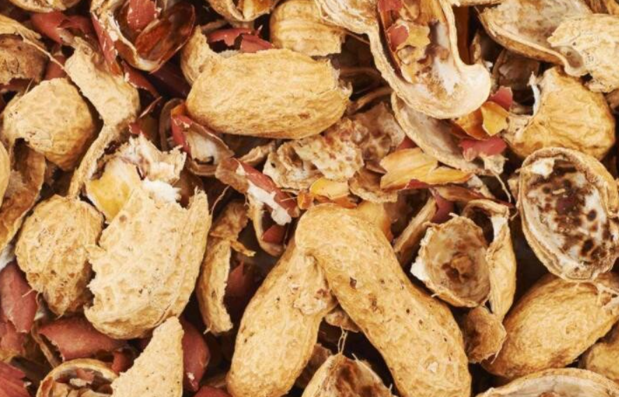 发酵花生壳种兰花的方法