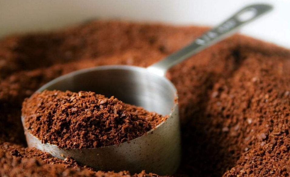 咖啡渣怎么处理才能养花