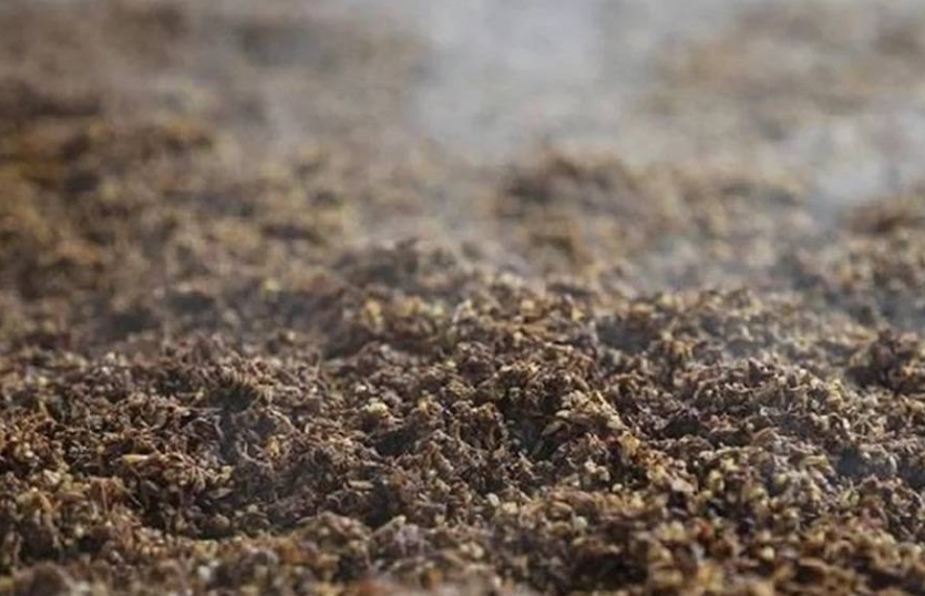 酒糟晒干后拌土直接养花吗