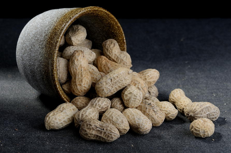 一般花生生长期多少天