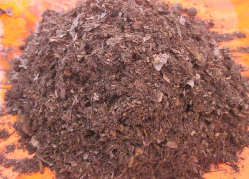 什么树底下挖腐叶土好