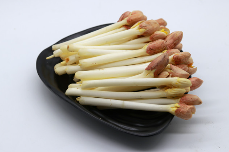 生花生芽的过程和技巧