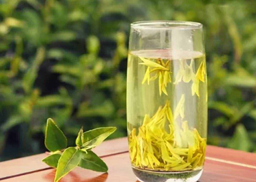 泡过的茶叶放花盆行吗