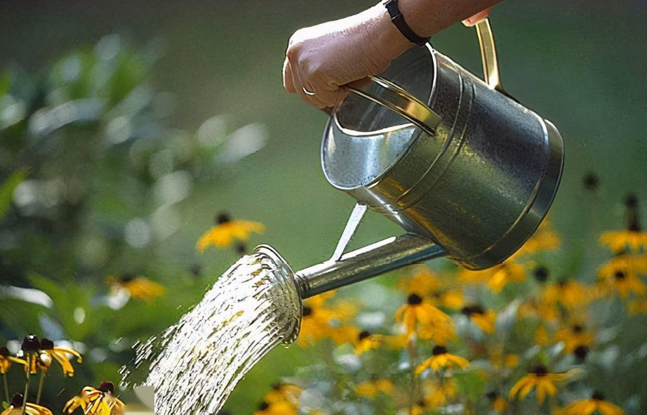 花换土后多长时间浇水