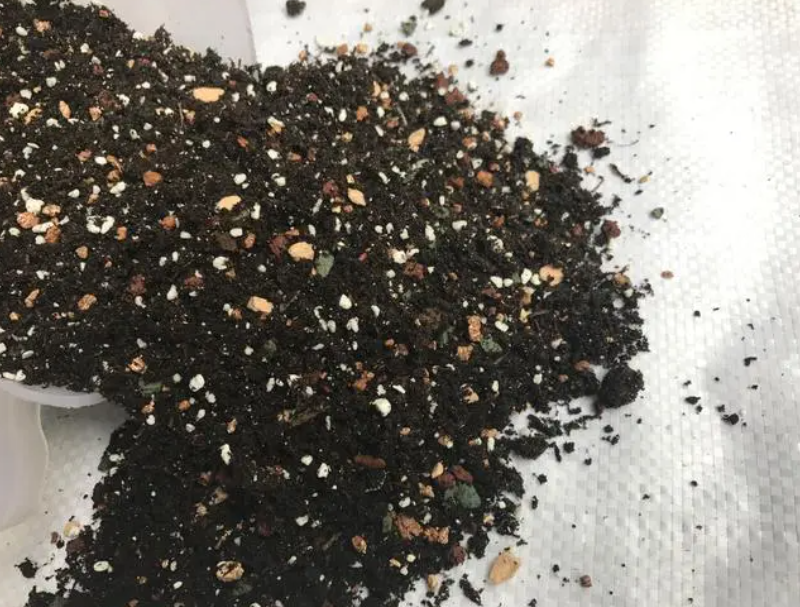 种花的土能种菜吗