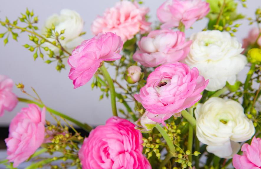 花毛茛切花养护方法