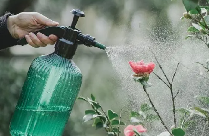 浇花什么时间浇水最好