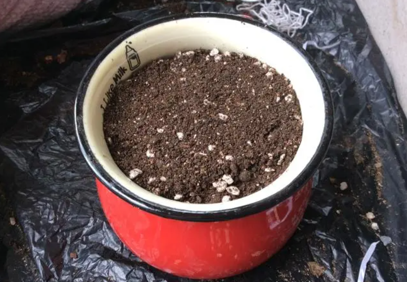 花盆土杀菌用高锰酸钾