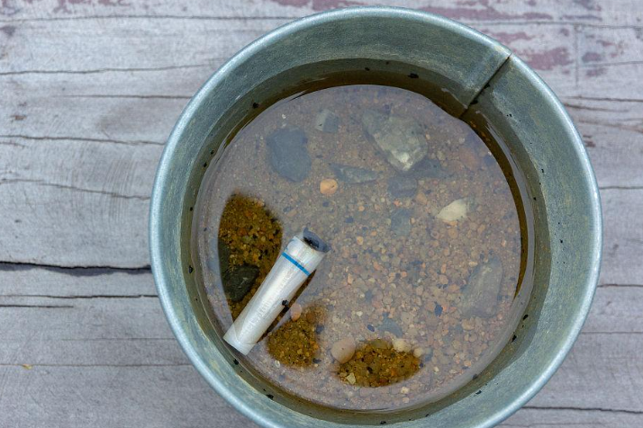 烟灰水能浇哪些花