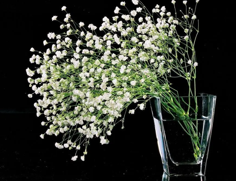 满天星怎么插花瓶好看