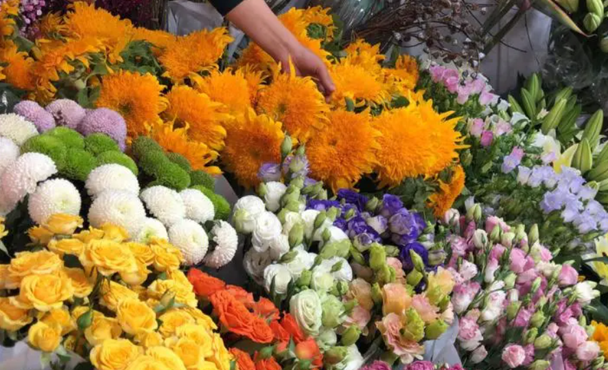 上海花卉市场一览表