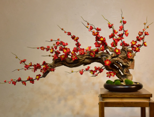 梅花盆景可以铺苔藓吗