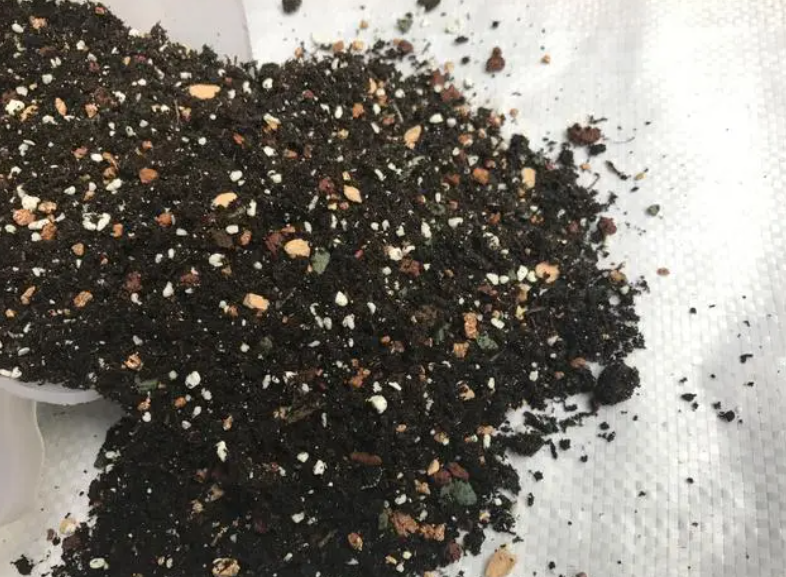 种花用的营养土怎么做