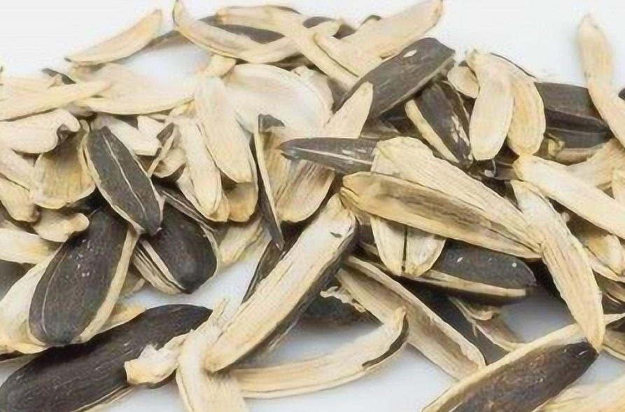 瓜子皮直接扔花盆土里可以吗