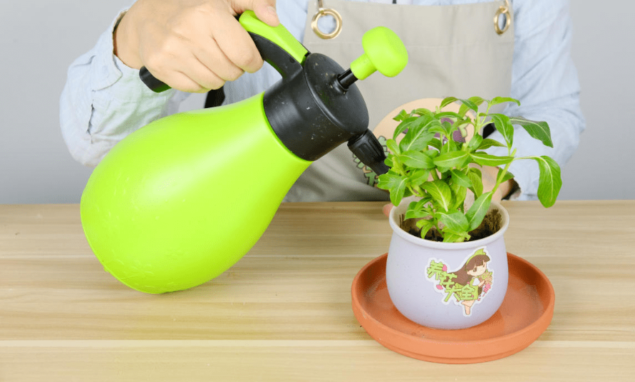 盆底吸水浇花的方法