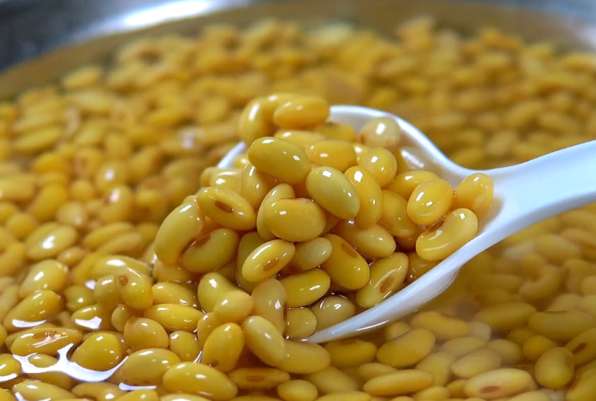 发酵黄豆水浇花比例