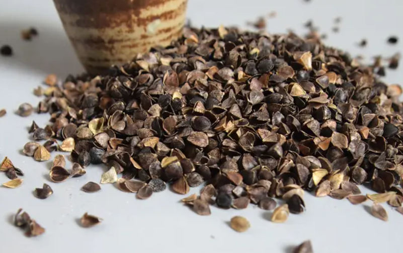 荞麦皮和土混合可以种花吗