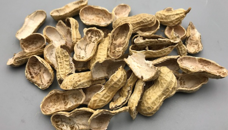 花生壳可以做花肥吗