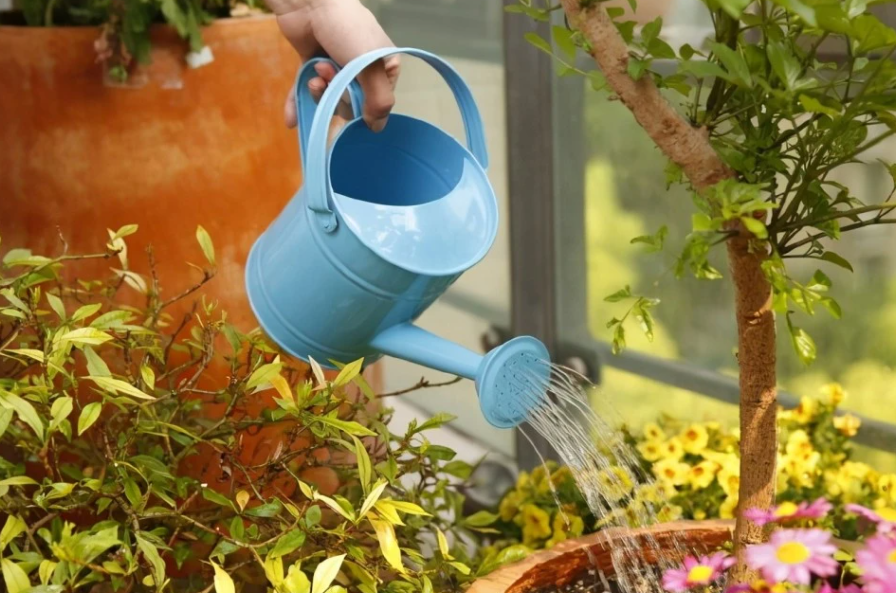 油烟机油浇花的正确方法如下