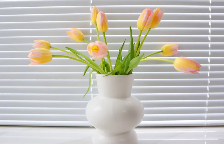 20口径花盆种几棵郁金香