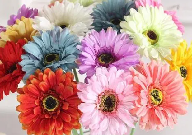 粉色弗朗花的花语和寓意