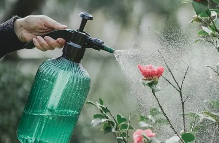 中央净水能浇花吗