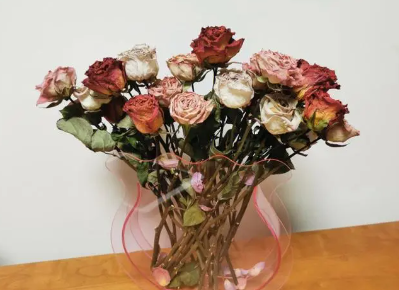 干花怎么养 需要浇水吗