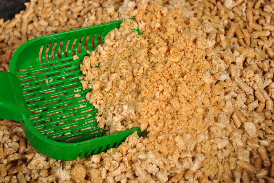 废弃的猫砂可以种花吗