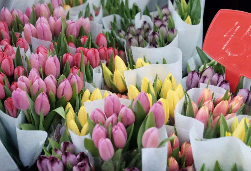 成都龙泉花市在哪里