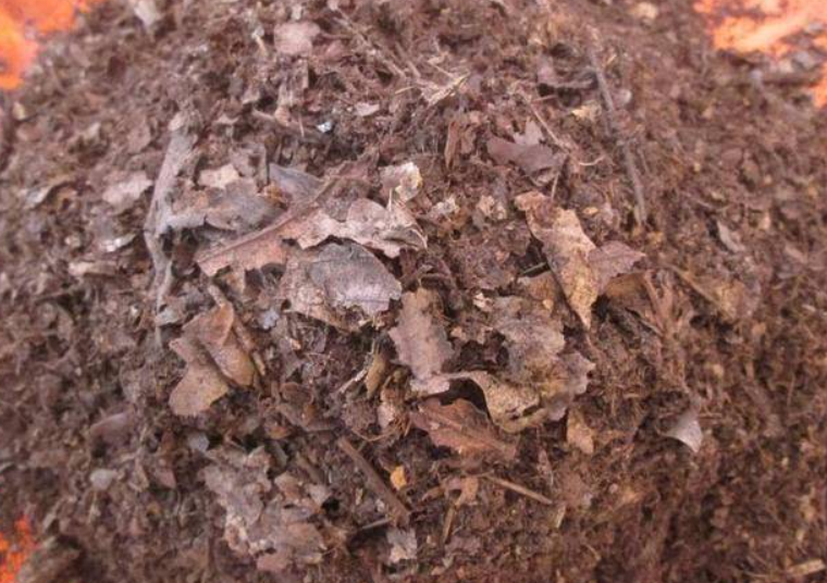 树叶做肥料最简单的方法