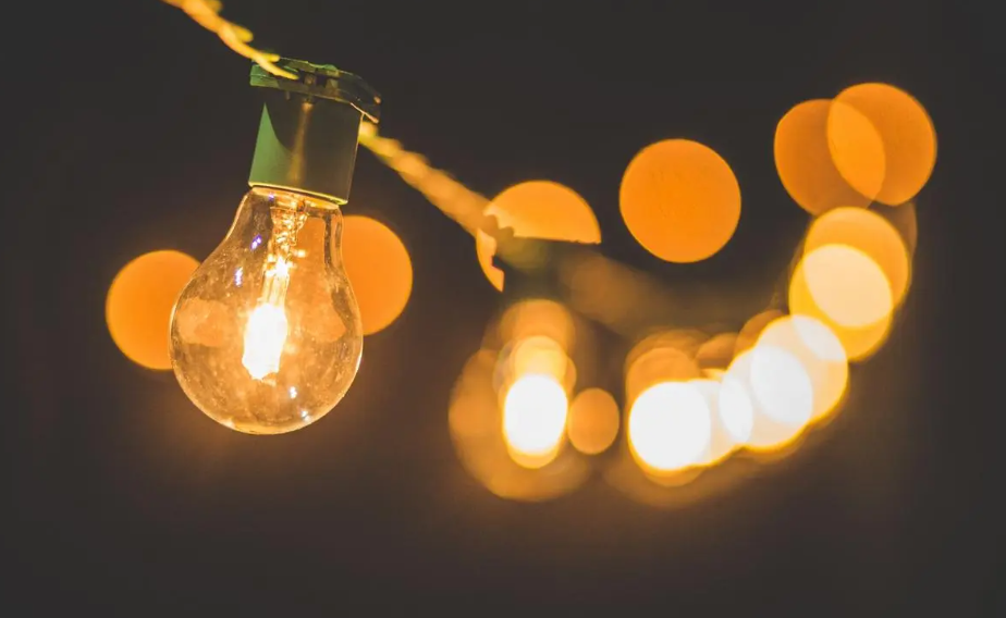 灯光能否代替阳光来照射室内的花