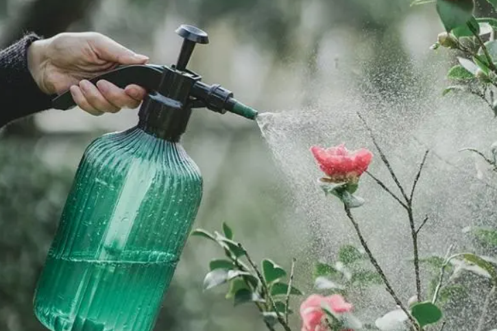 鱼缸换下来的水浇花好不好