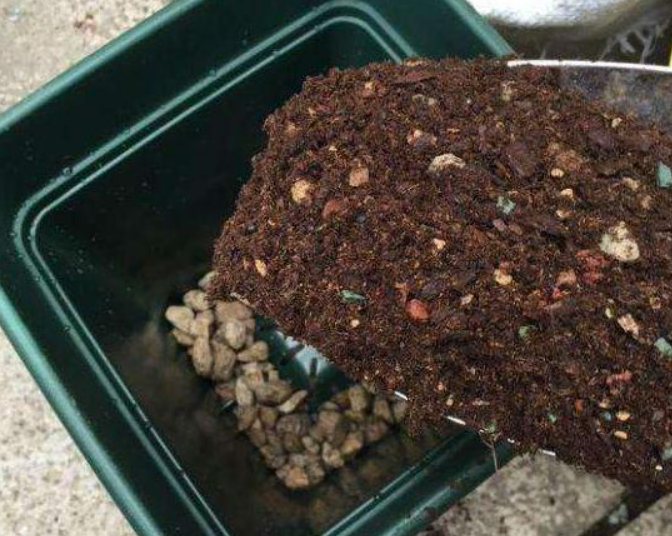 大花盆土里垫什么