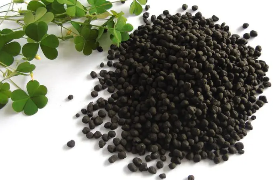 常见的养花肥有哪些