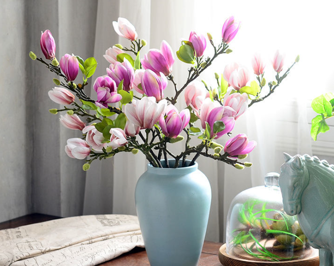 玉兰花盆栽好养吗