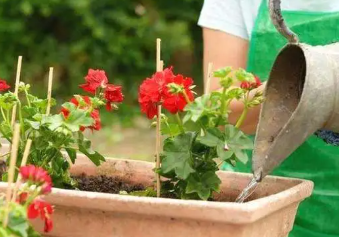 复合肥浇花兑水比例