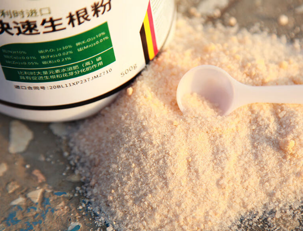 花经常浇生根粉好吗