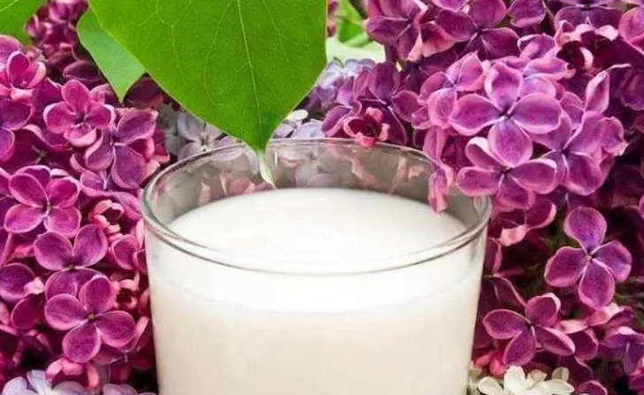 喝剩的纯牛奶能浇花吗