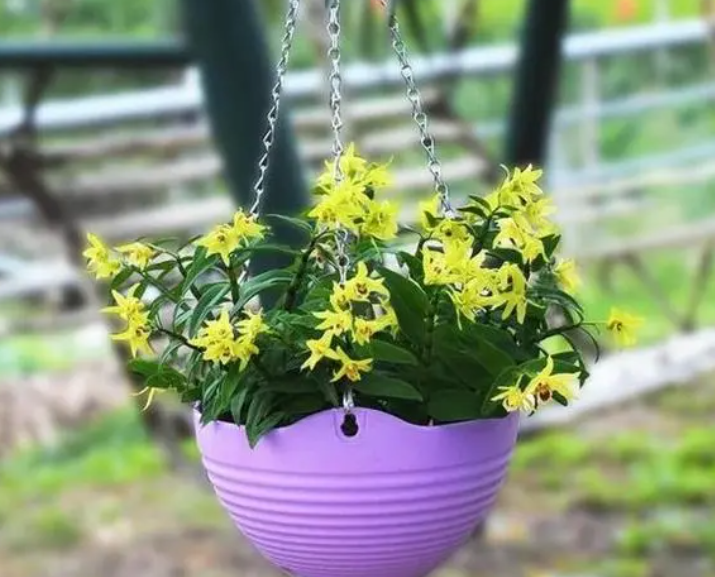 人的头发埋在土里养花有用吗