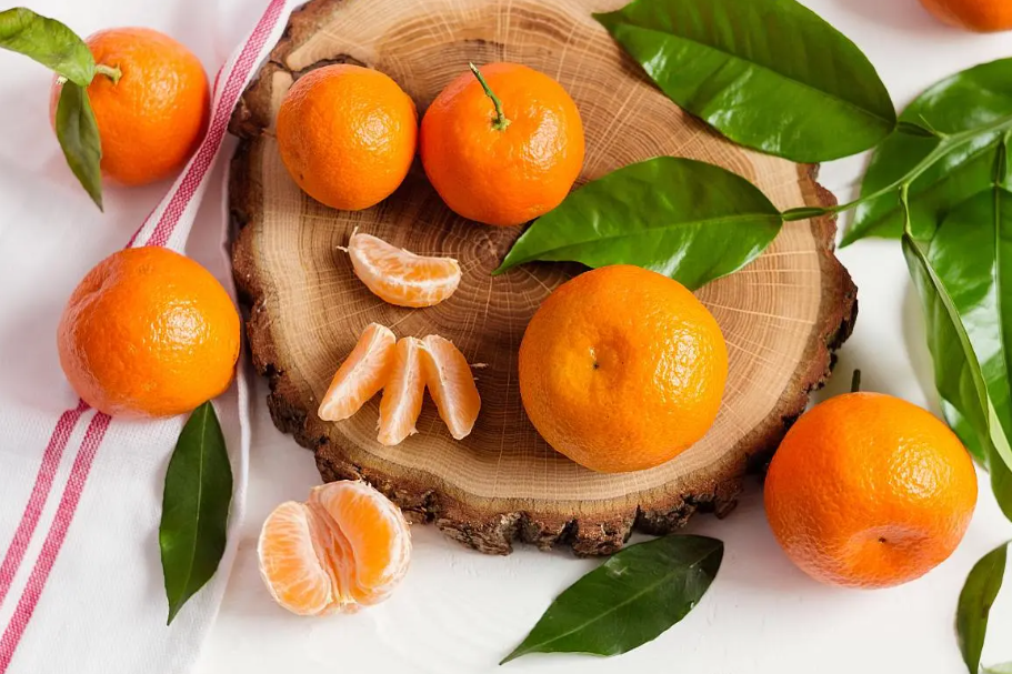 桂林适合种什么果树