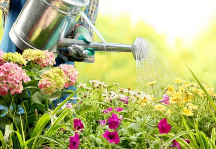 自来水放了6小时后能浇花吗