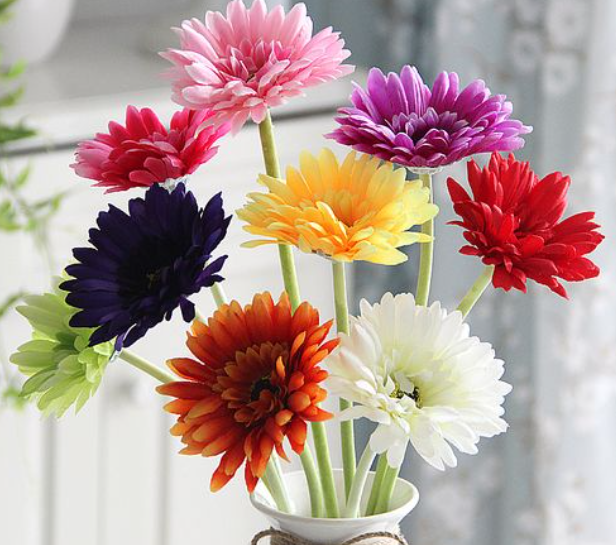 弗朗花的寓意是什么